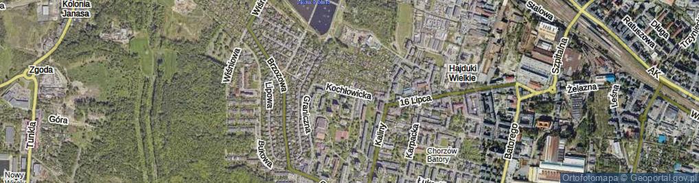 Zdjęcie satelitarne Kochłowicka ul.