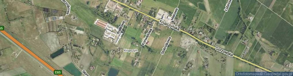 Zdjęcie satelitarne Konwaliowa ul.