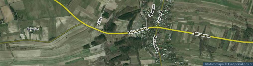 Zdjęcie satelitarne Kolbuszowska ul.