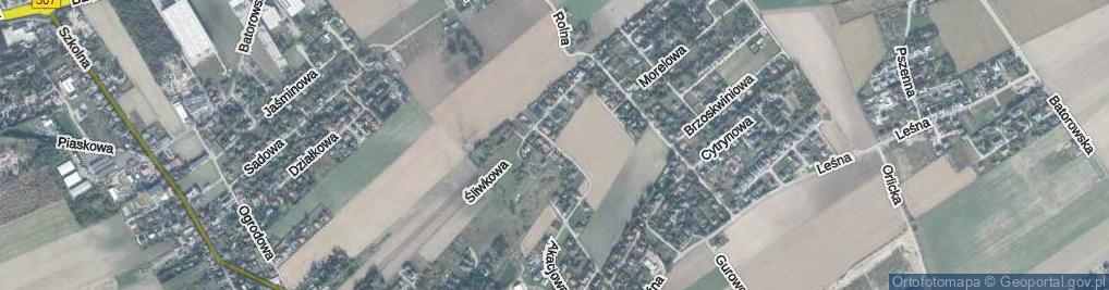 Zdjęcie satelitarne Kokosowa ul.