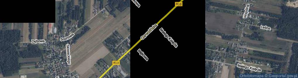 Zdjęcie satelitarne Kopciuszka ul.