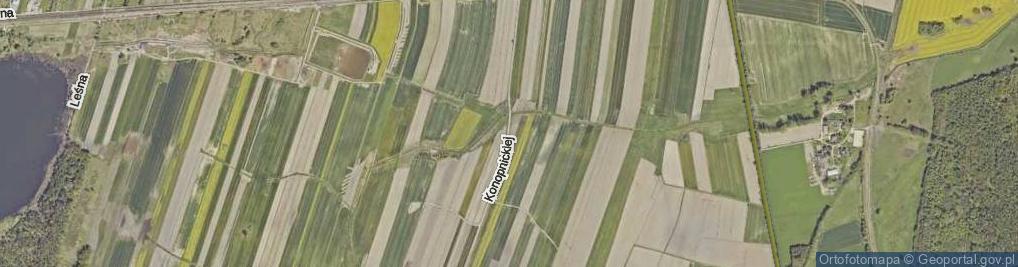 Zdjęcie satelitarne Konopnickiej Marii ul.