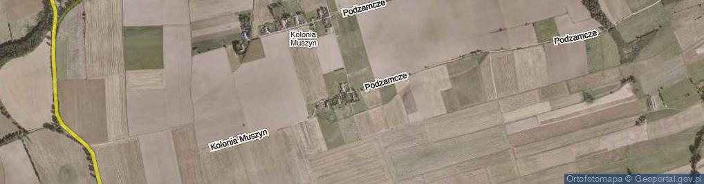 Zdjęcie satelitarne Kolonia Muszyn ul.