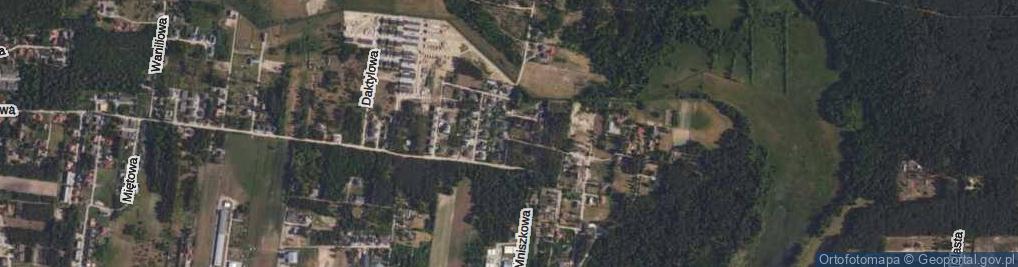 Zdjęcie satelitarne Konwaliowa ul.