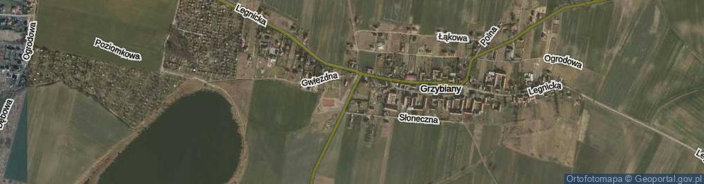 Zdjęcie satelitarne Koskowicka ul.