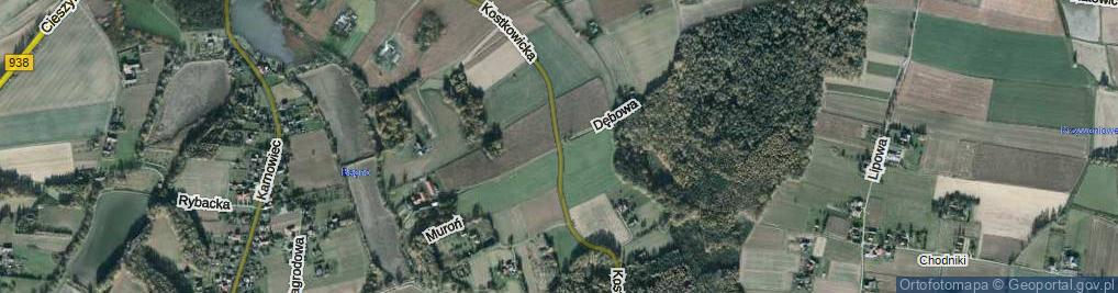 Zdjęcie satelitarne Kostkowicka ul.