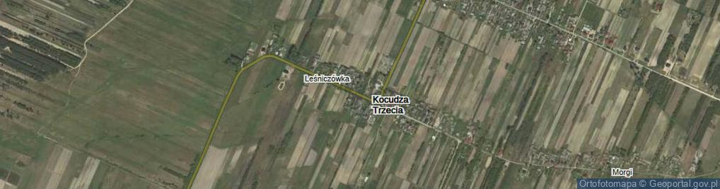 Zdjęcie satelitarne Kocudza Trzecia ul.