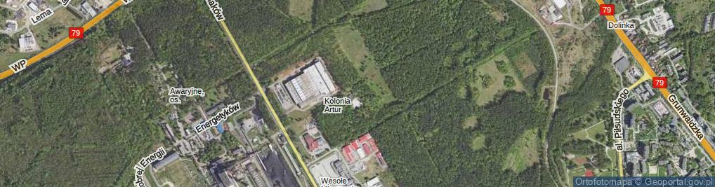 Zdjęcie satelitarne Kolonia Artur ul.