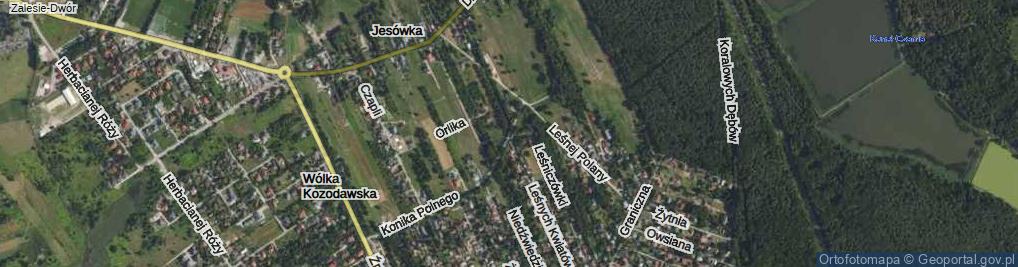 Zdjęcie satelitarne Konika Polnego ul.