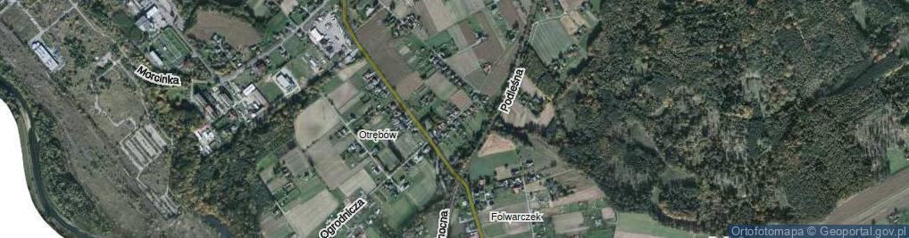 Zdjęcie satelitarne Kolonii ul.