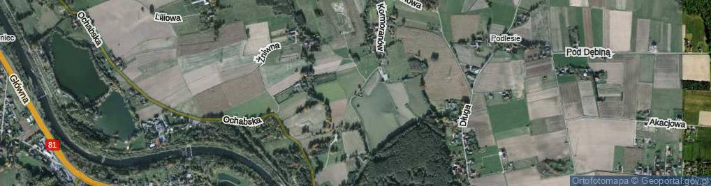 Zdjęcie satelitarne Kormoranów ul.