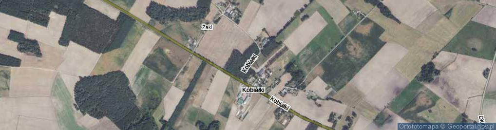 Zdjęcie satelitarne Kobiałki ul.