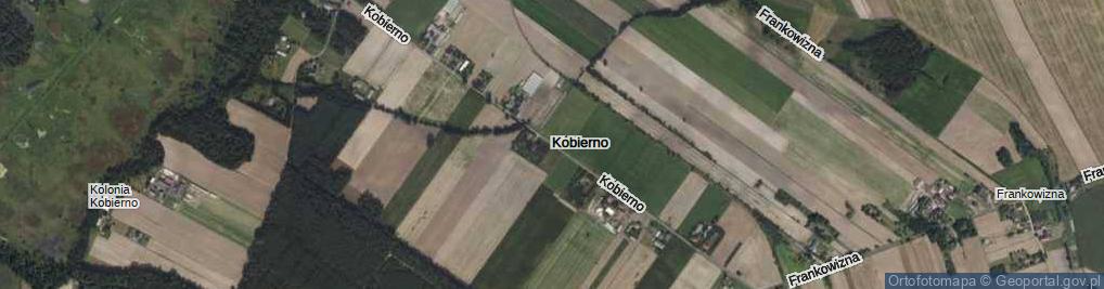 Zdjęcie satelitarne Kobierno ul.