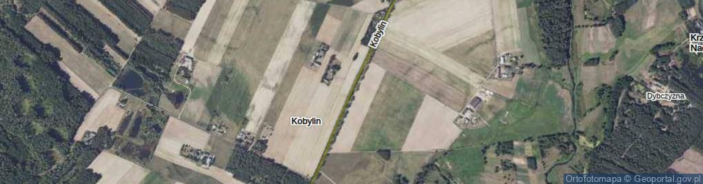 Zdjęcie satelitarne Kobylin ul.