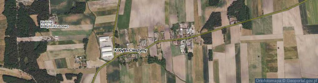 Zdjęcie satelitarne Kobylin-Cieszymy ul.