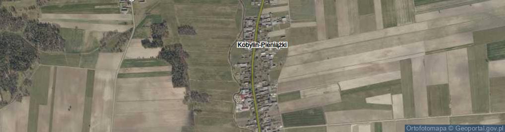 Zdjęcie satelitarne Kobylin-Pieniążki ul.