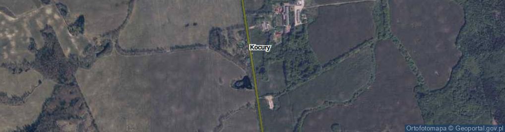Zdjęcie satelitarne Kocury ul.