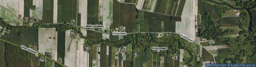 Zdjęcie satelitarne Koliszewo ul.
