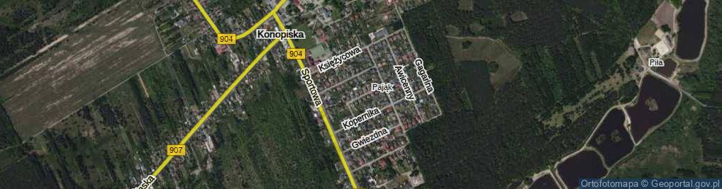 Zdjęcie satelitarne Kosmonautów ul.