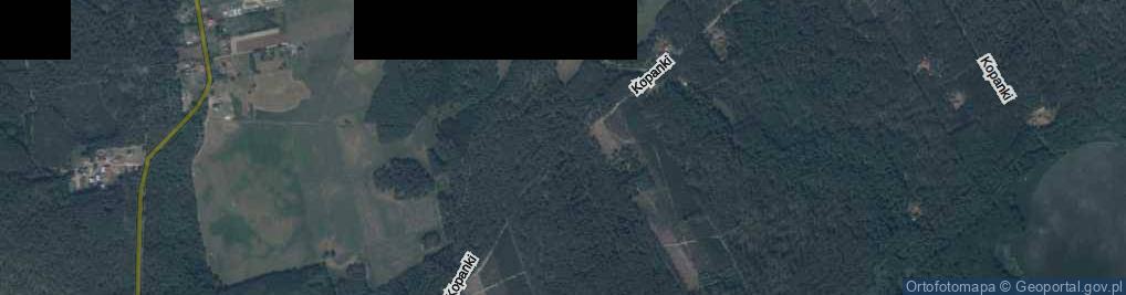 Zdjęcie satelitarne Kopanki ul.