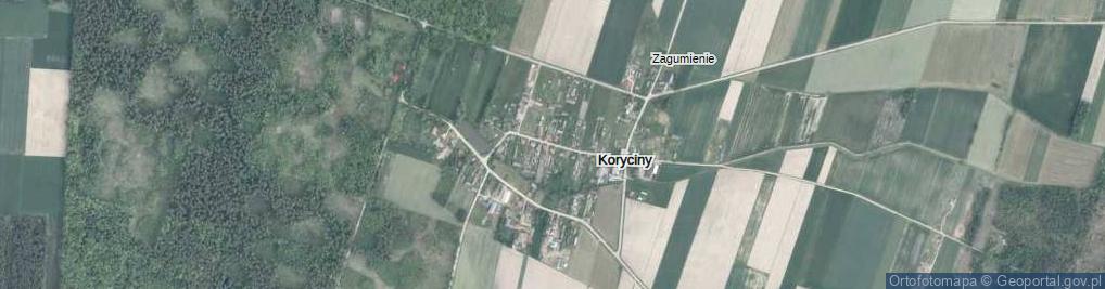 Zdjęcie satelitarne Koryciny ul.
