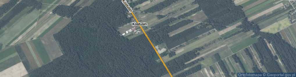 Zdjęcie satelitarne Kostusin ul.