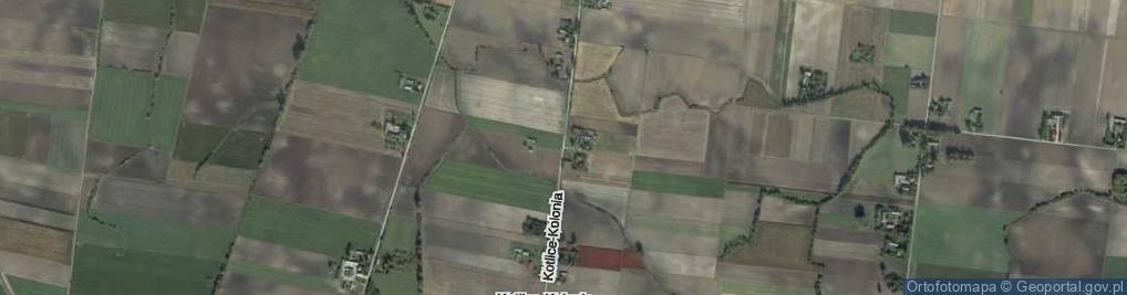 Zdjęcie satelitarne Kotlice-Kolonia ul.