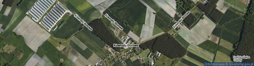 Zdjęcie satelitarne Kownaty-Borowe ul.