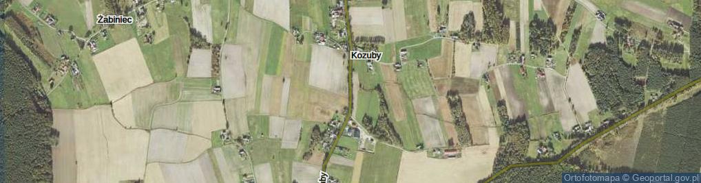 Zdjęcie satelitarne Kozuby ul.