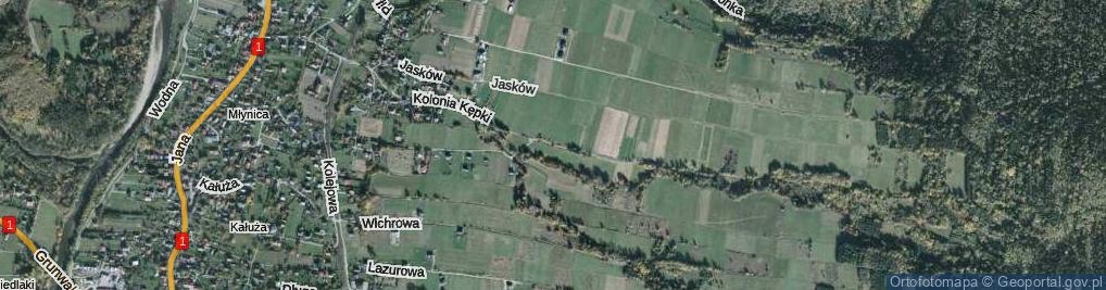 Zdjęcie satelitarne Kolonia Kępki ul.