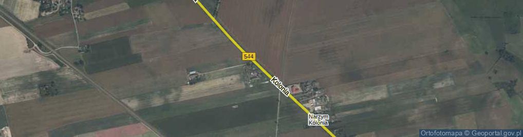 Zdjęcie satelitarne Kolonia ul.