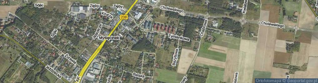 Zdjęcie satelitarne Korzenna ul.