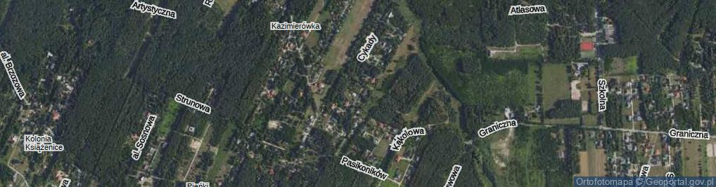 Zdjęcie satelitarne Koników Polnych ul.