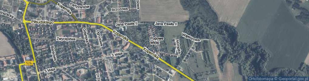 Zdjęcie satelitarne Kolonia Robotnicza ul.