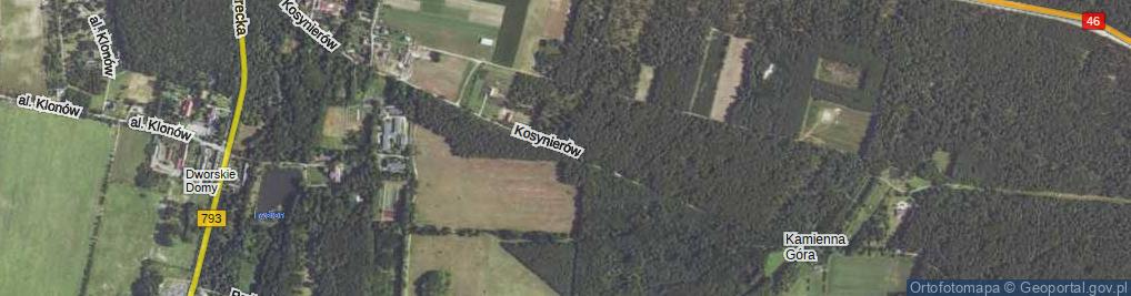 Zdjęcie satelitarne Kosynierów ul.