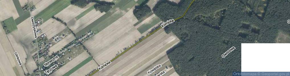 Zdjęcie satelitarne Kórnicka ul.
