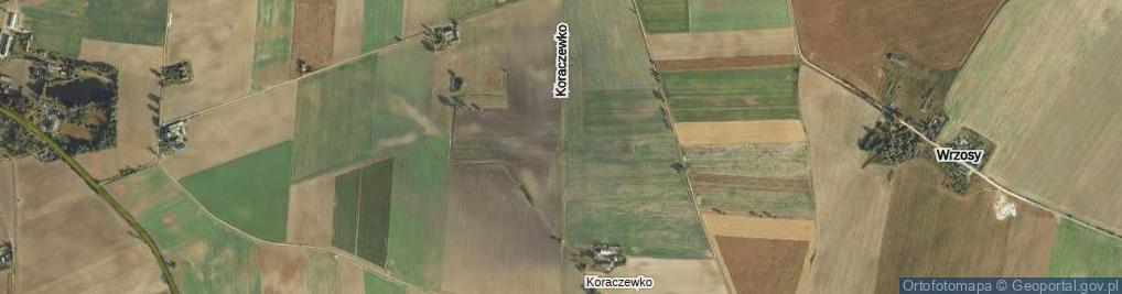 Zdjęcie satelitarne Koraczewko ul.