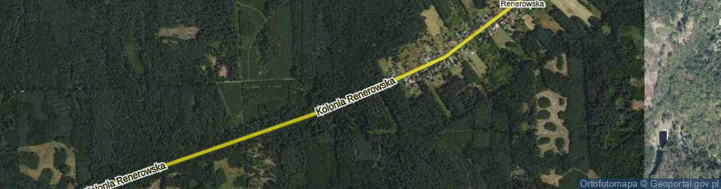 Zdjęcie satelitarne Kolonia Renerowska ul.