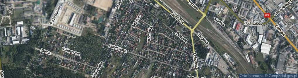 Zdjęcie satelitarne Korczaka Janusza ul.