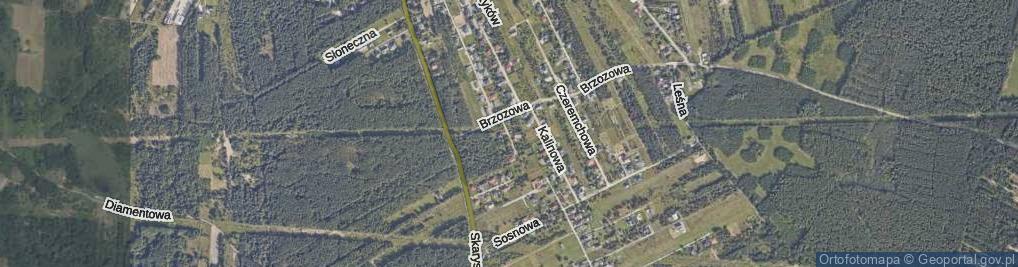 Zdjęcie satelitarne Konwaliowa ul.