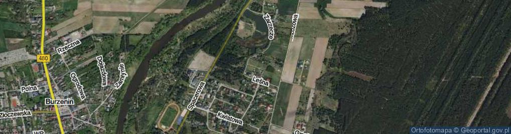 Zdjęcie satelitarne Konwaliowa ul.