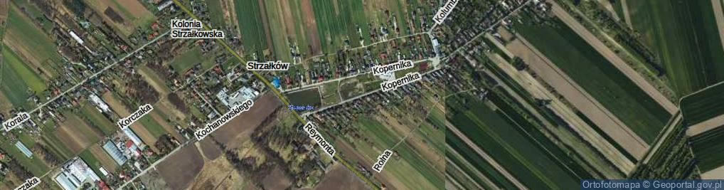 Zdjęcie satelitarne Kopernika Mikołaja ul.