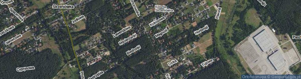 Zdjęcie satelitarne Komorowska ul.