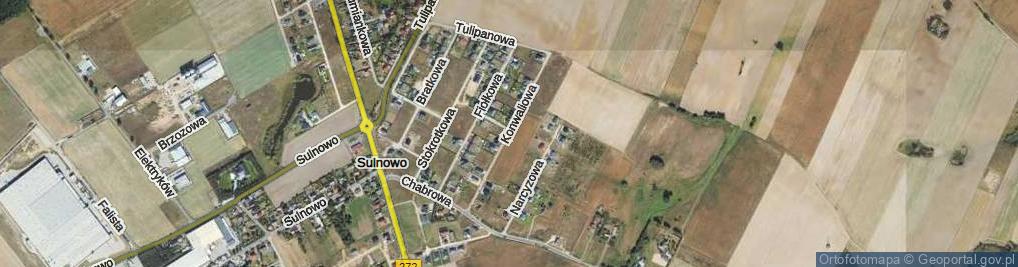 Zdjęcie satelitarne Konwaliowa ul.