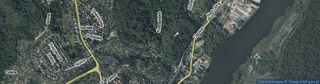 Zdjęcie satelitarne Koszalińska ul.