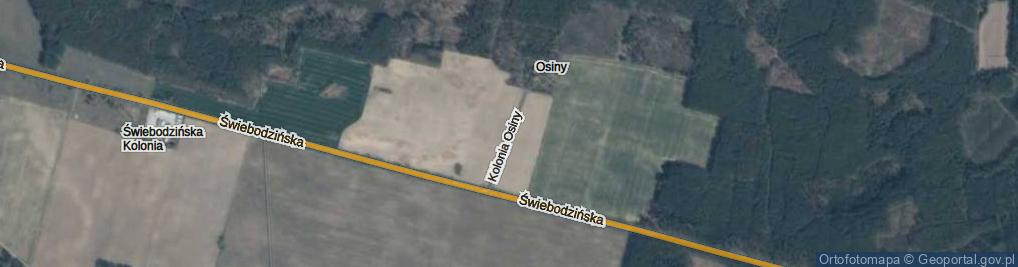 Zdjęcie satelitarne Kolonia Osiny ul.