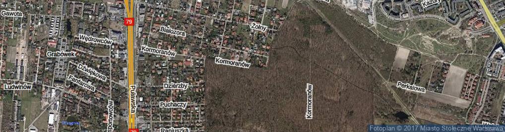 Zdjęcie satelitarne Kormoranów ul.