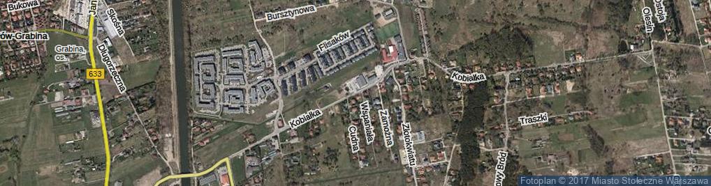 Zdjęcie satelitarne Kobiałka ul.