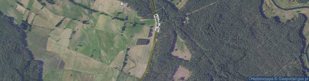 Zdjęcie satelitarne Kolonia IV ul.