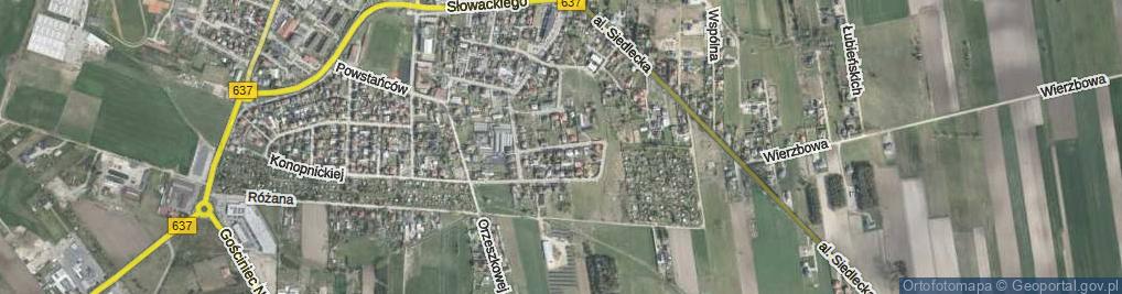 Zdjęcie satelitarne Korczaka Janusza ul.